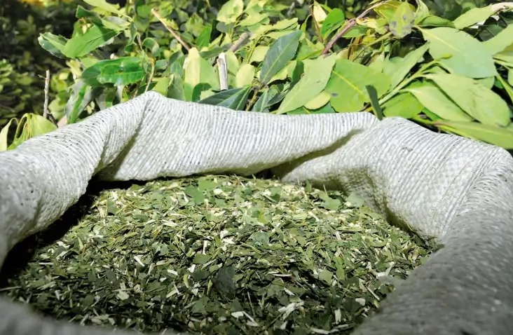 Brazilian Yerba Mate Ingredients