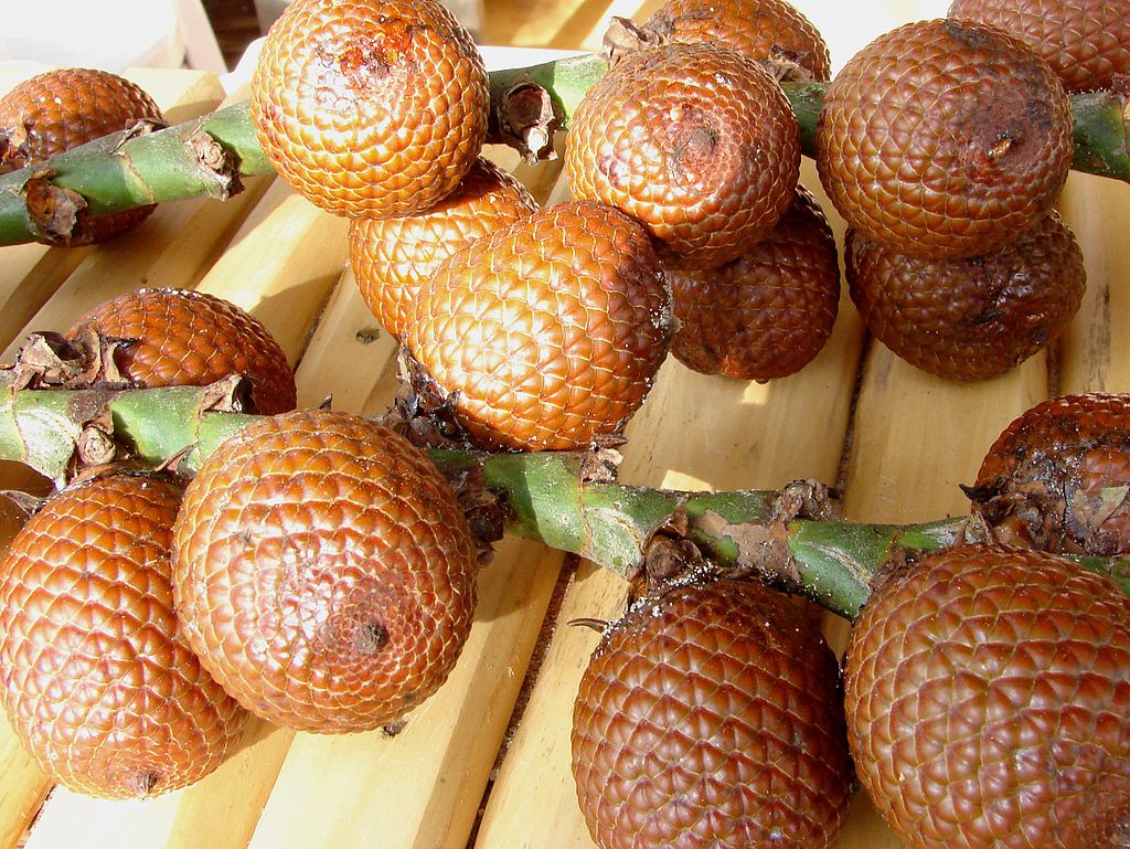 Buriti Oil