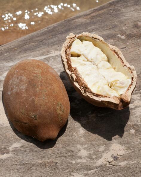 Cupuaçu Butter